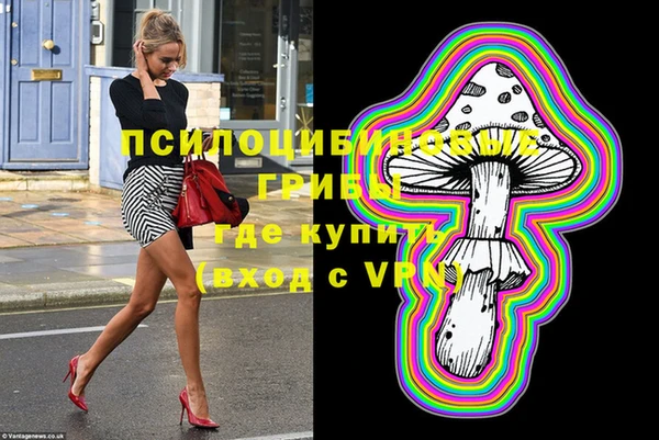 ешки Алзамай