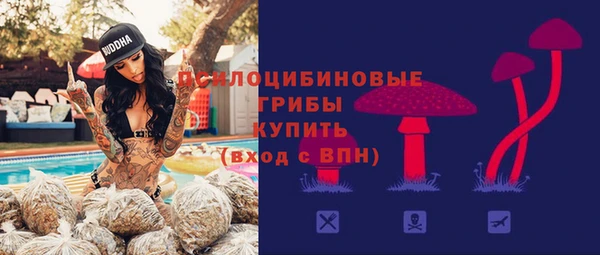 ешки Алзамай