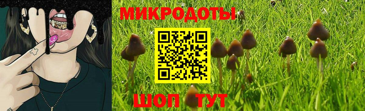 Псилоцибиновые грибы GOLDEN TEACHER  где можно купить наркотик  Алексеевка  Вход с VPN 
